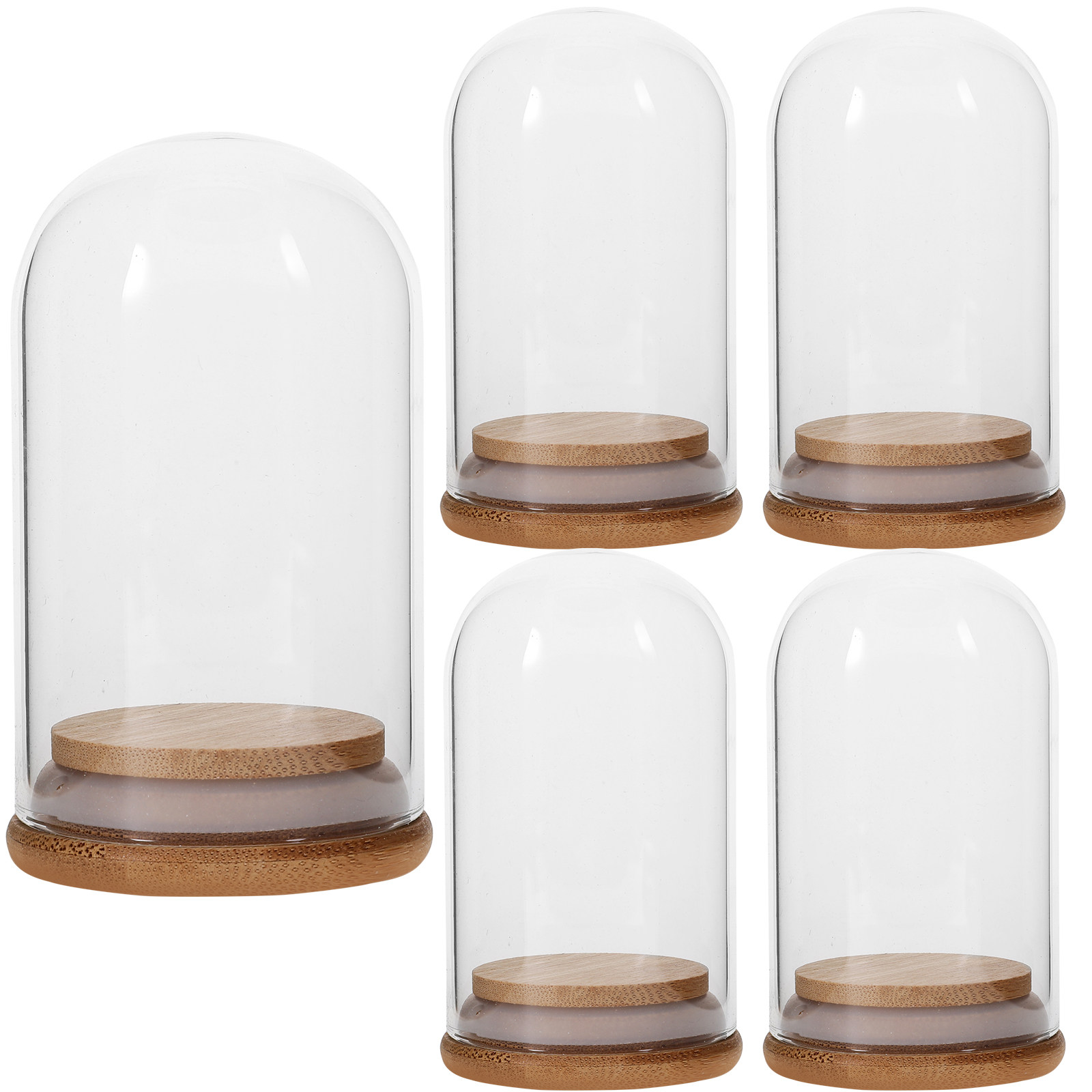 Plastic Dome Clear - 5Pcs Preserved Flower Glass Dome Bamboo