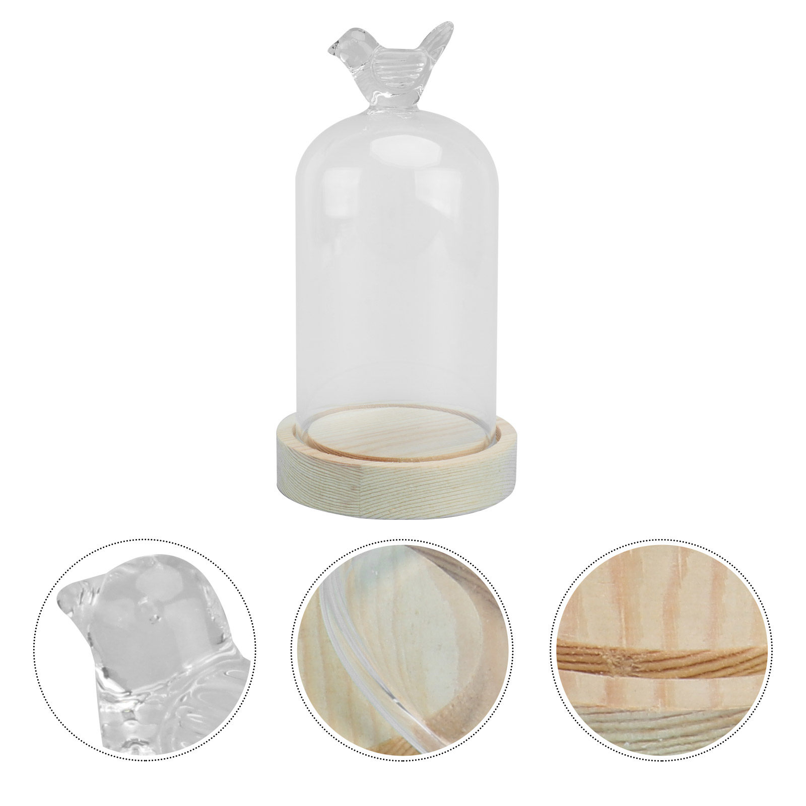 Plastic Dome Clear - 1Pcs Mini Glass Dome Cover Bird