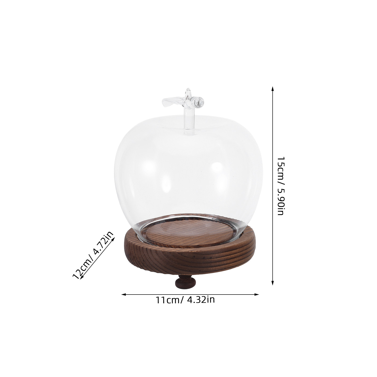 Glass Dome Cloche Clear Displa - Plastic Dome Clear reseña y precio