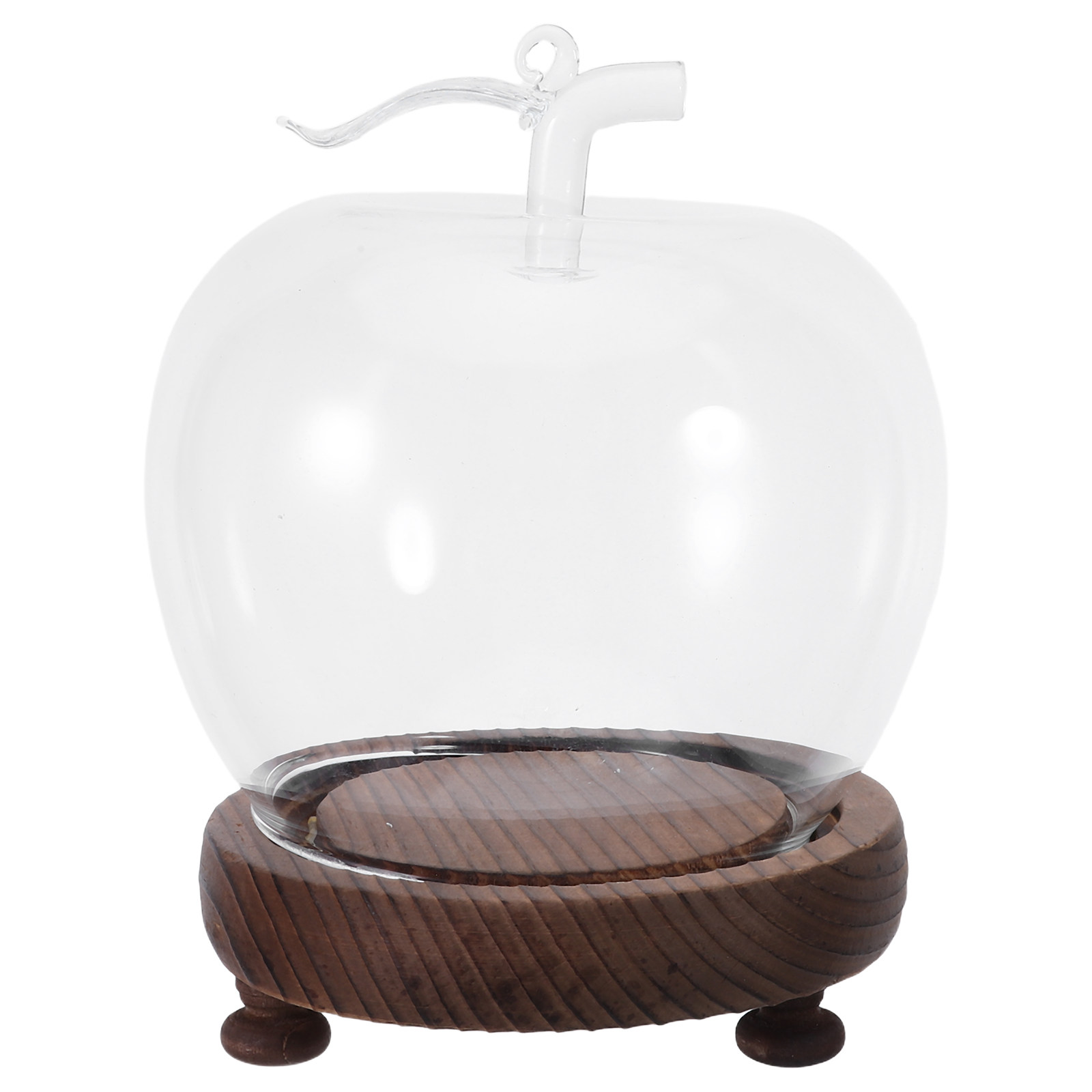 Glass Dome Cloche Clear Displa - Plastic Dome Clear reseña y precio