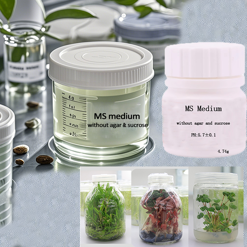 MS medium Without Agar Or Sucr - Agar Tissue Culture reseña y precio