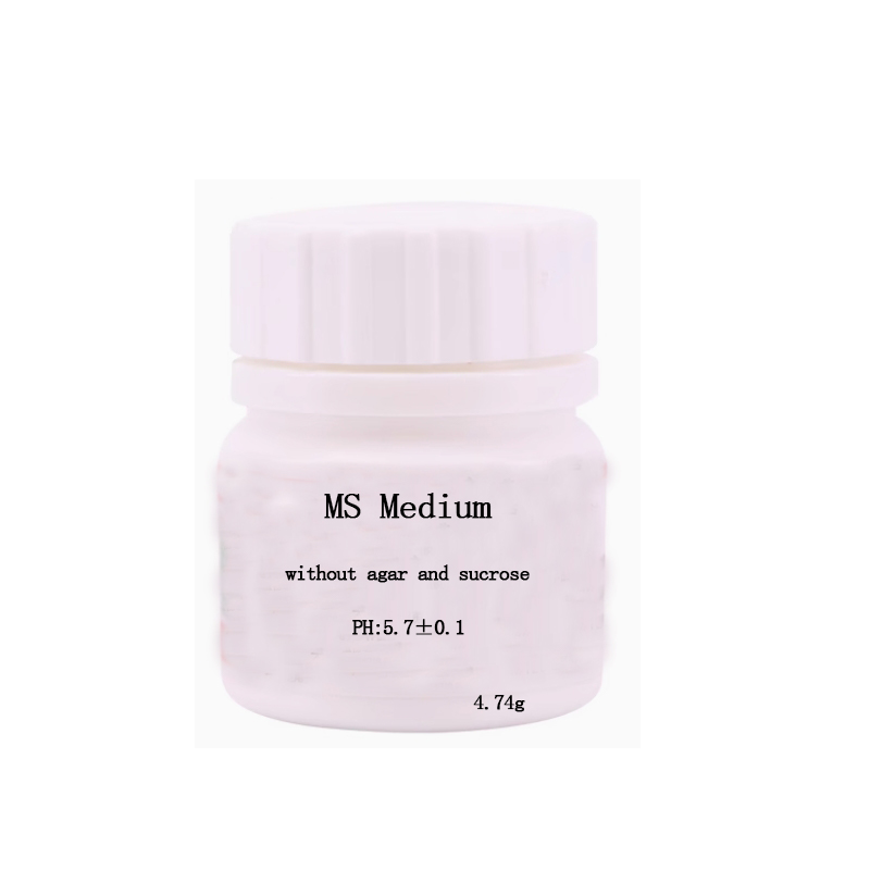 MS medium Without Agar Or Sucr - Agar Tissue Culture reseña y precio
