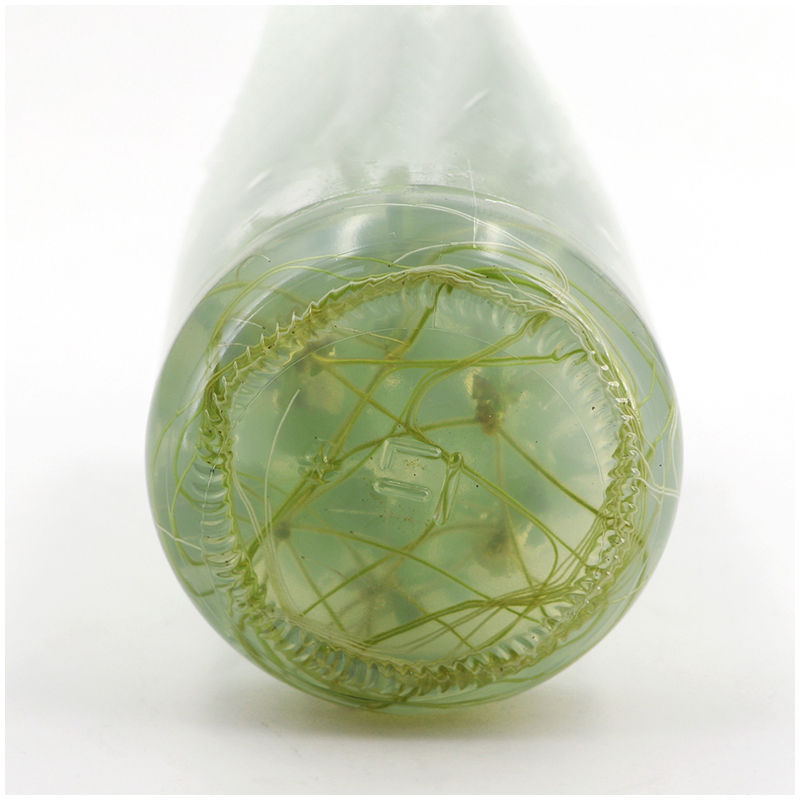 MS medium Without Agar Or Sucr - Agar Tissue Culture reseña y precio