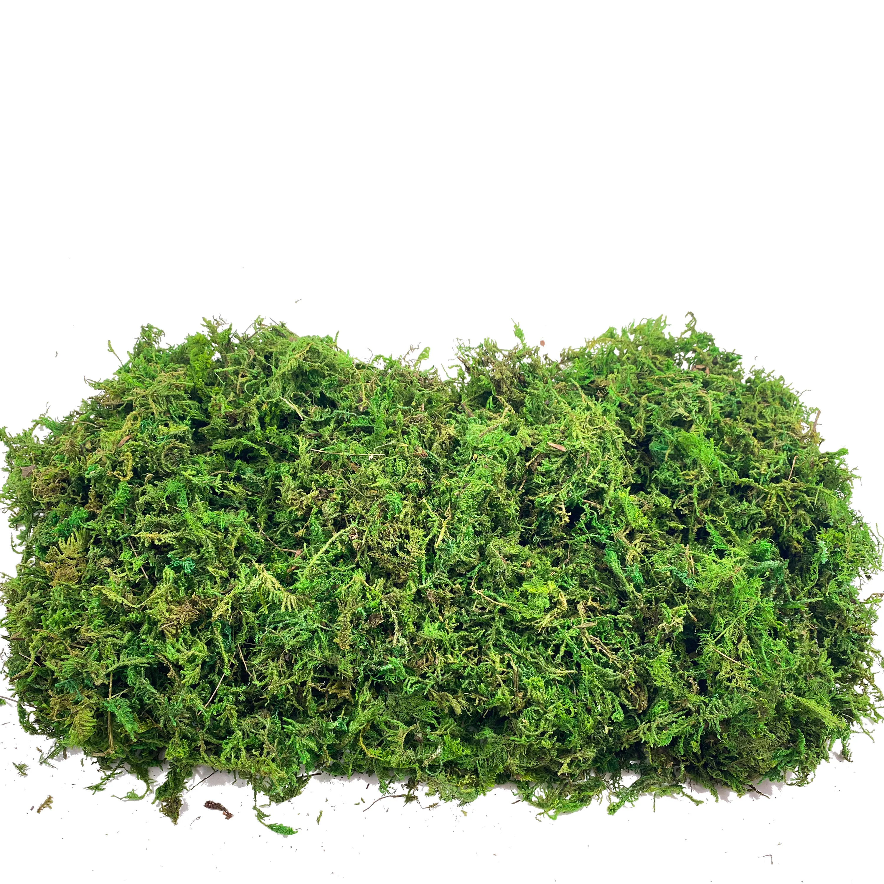 Fake Moss Artificial Moss for  - Sphagnum Moss Dry reseña y precio