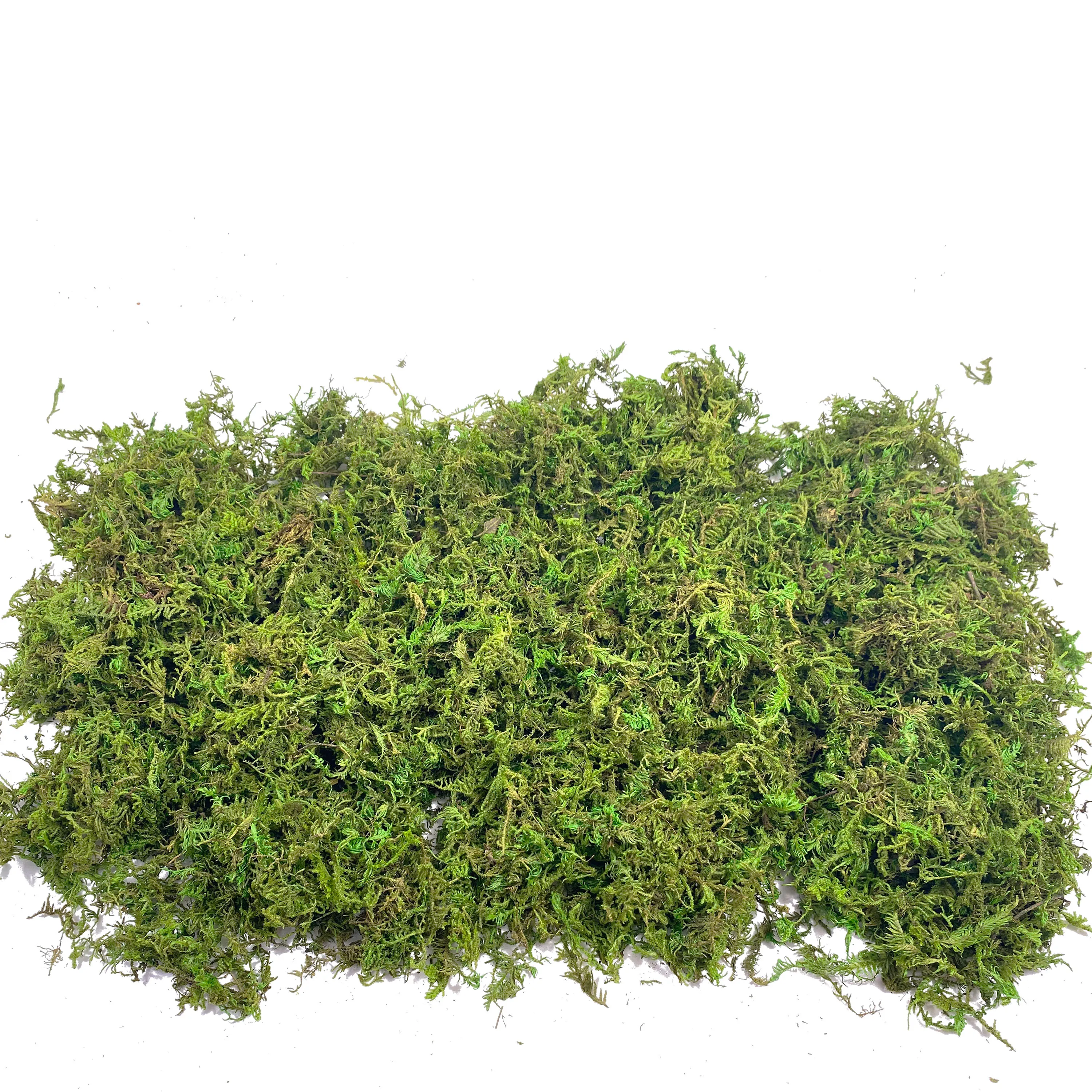 Fake Moss Artificial Moss for  - Sphagnum Moss Dry reseña y precio