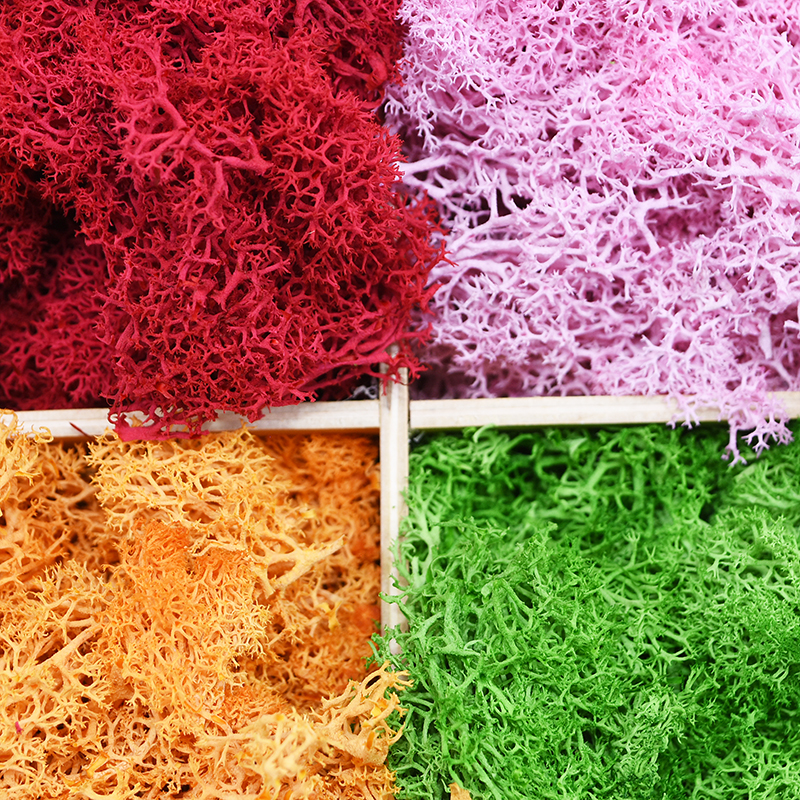 20/40g Artificial Green Plants - Sphagnum Moss Dry reseña y precio