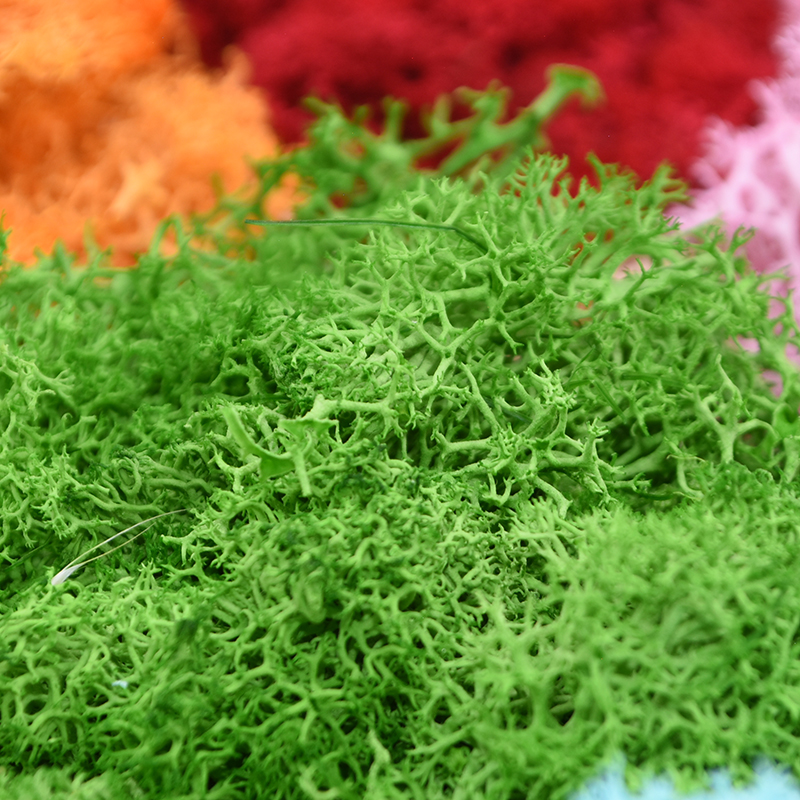 20/40g Artificial Green Plants - Sphagnum Moss Dry reseña y precio