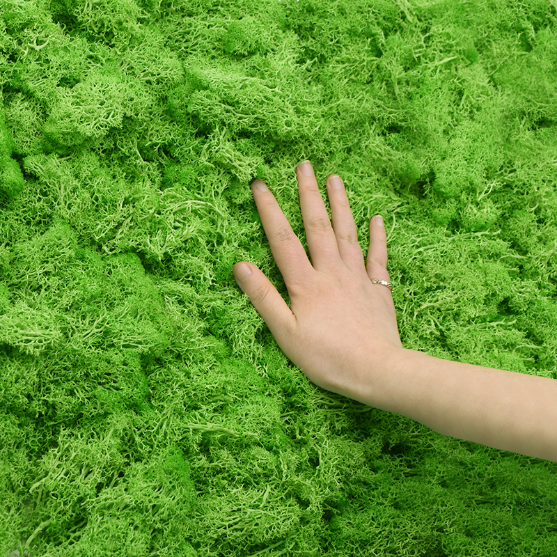 20/40g Artificial Green Plants - Sphagnum Moss Dry reseña y precio