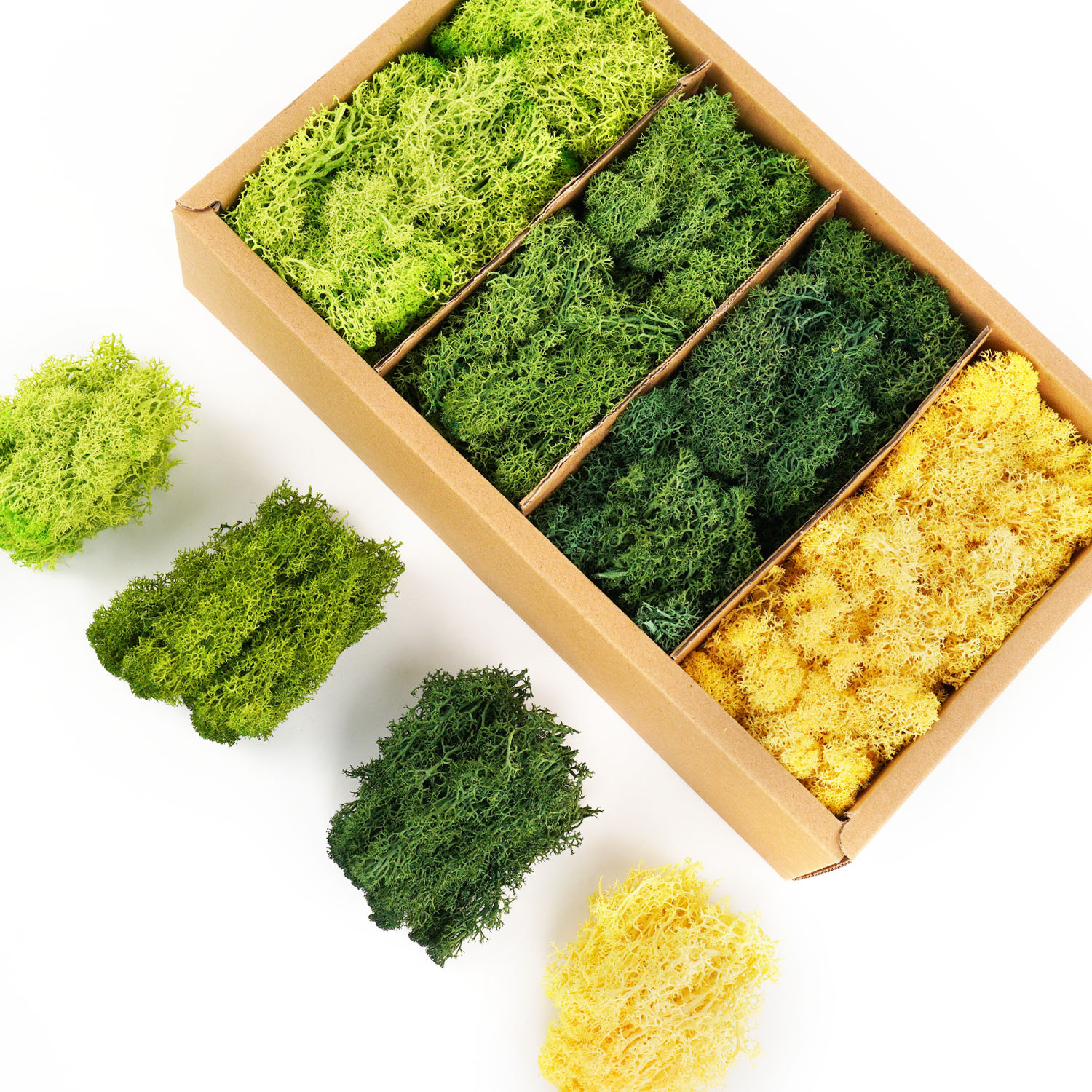 Artificial Green Plants Eterna - Sphagnum Moss Dry reseña y precio
