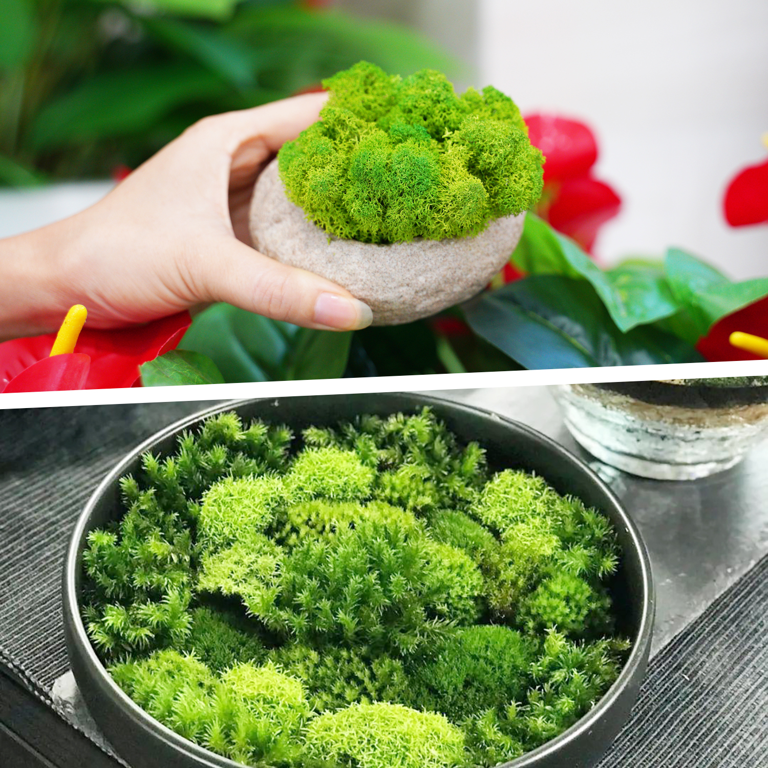 Artificial Green Plants Eterna - Sphagnum Moss Dry reseña y precio