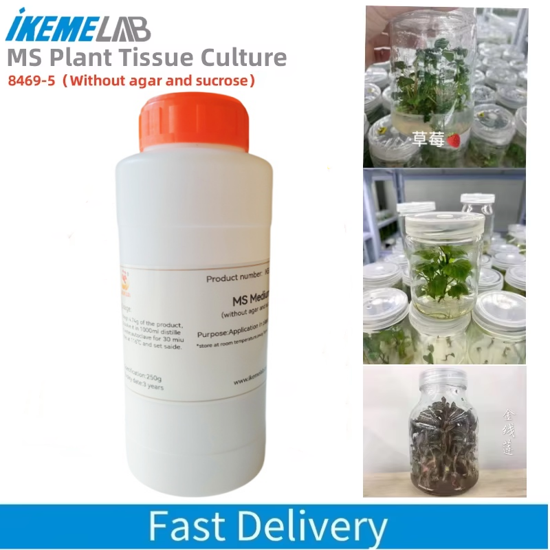 IKEME 250g Lab MS Medium Witho - Agar Tissue Culture reseña y precio