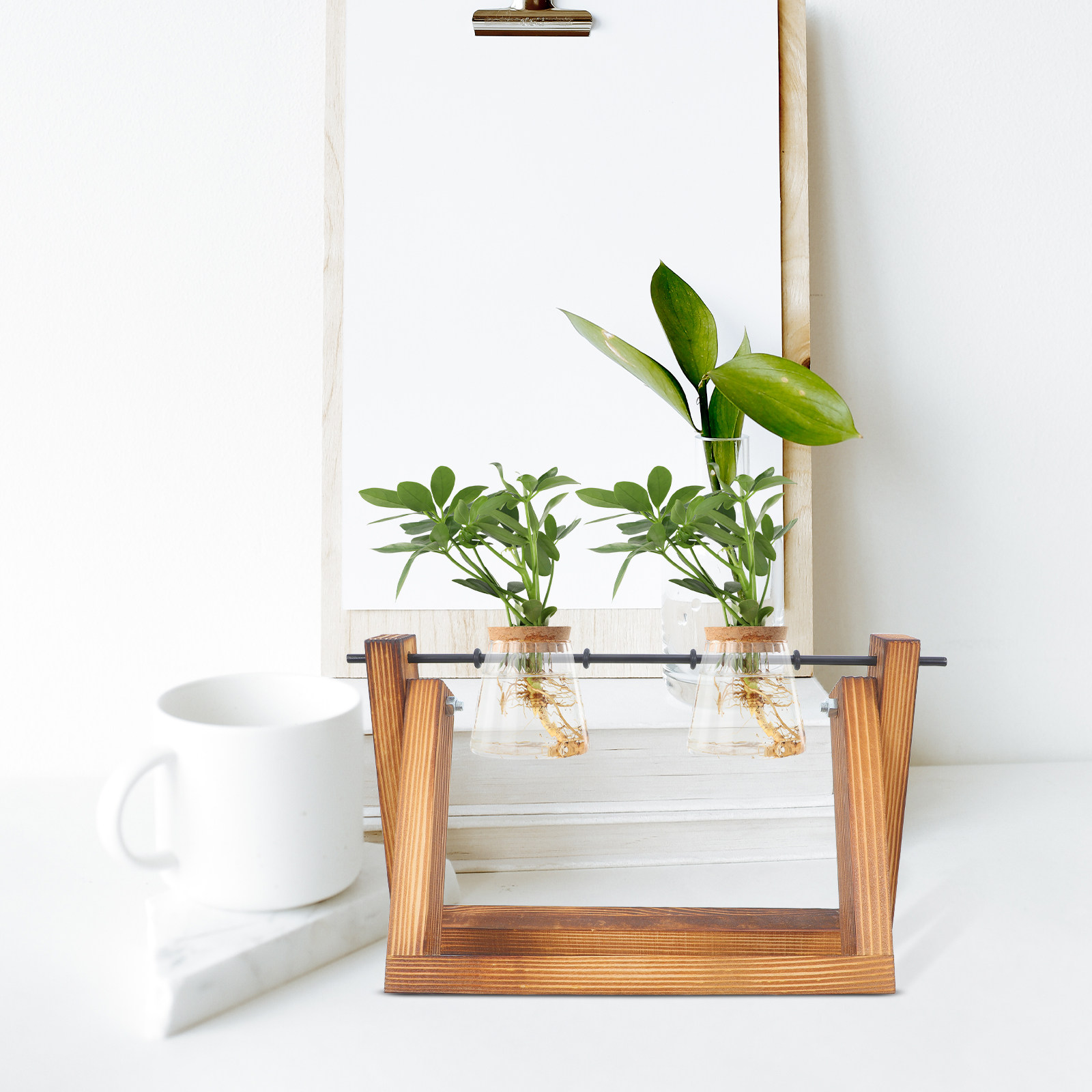 Hydroponic Propagating Jars Ho - Propagation Station Vase reseña y precio
