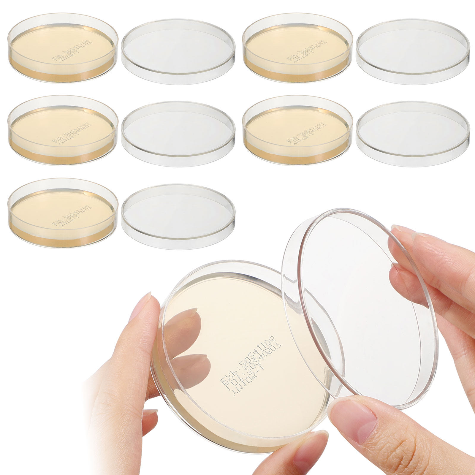 Agar Plates 10pcs Ready to Use - Agar Tissue Culture reseña y precio