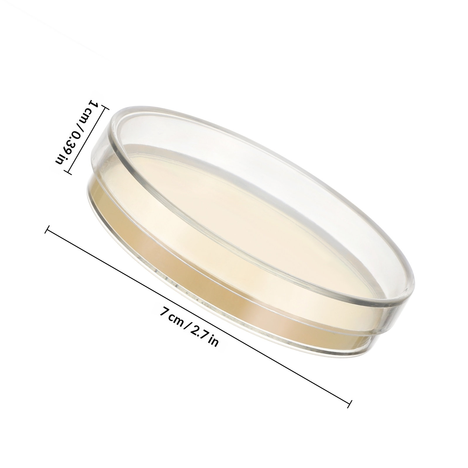 Agar Plates 10pcs Ready to Use - Agar Tissue Culture reseña y precio