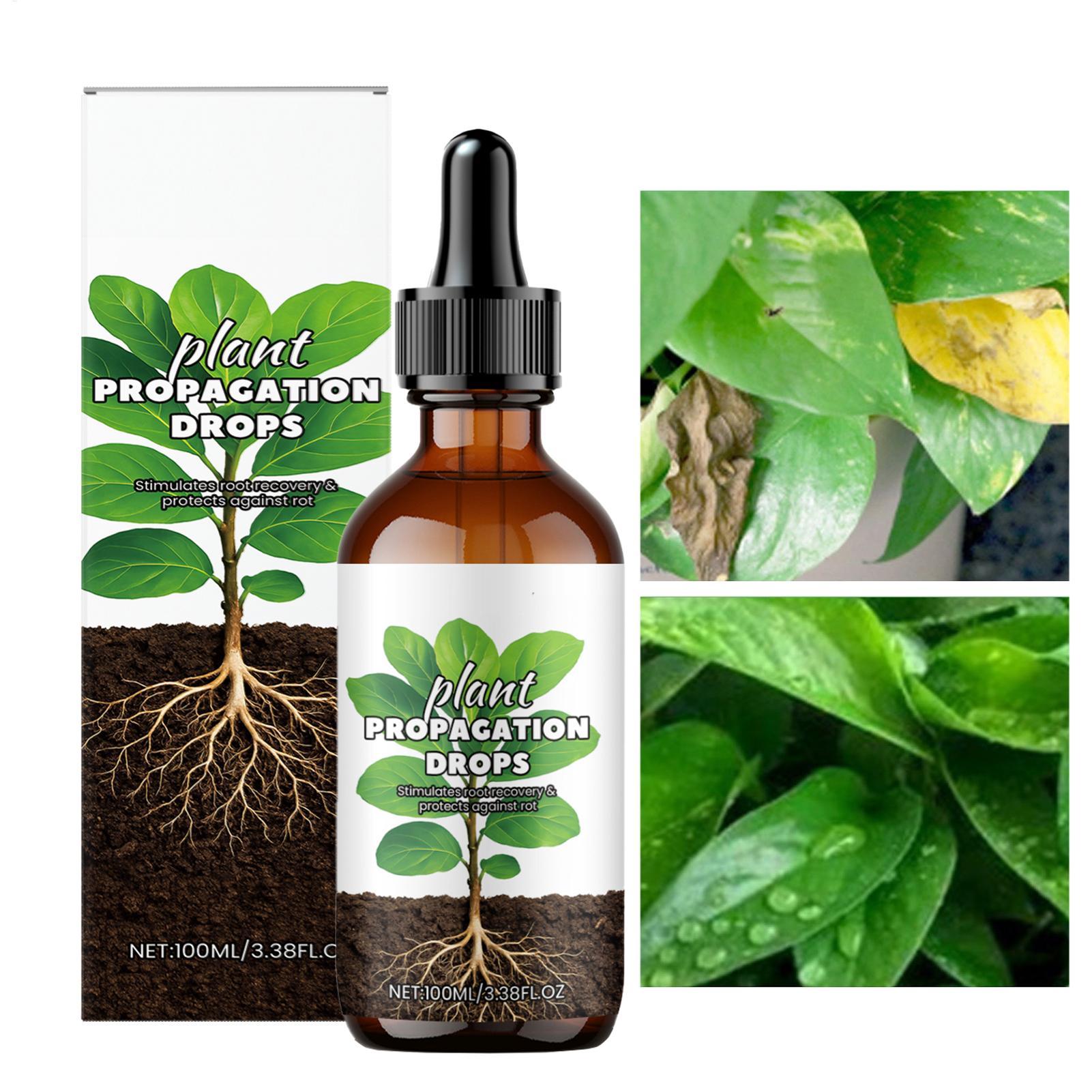 Root Booster 100ml Liquid Root - Root Stimulator Liquid reseña y precio