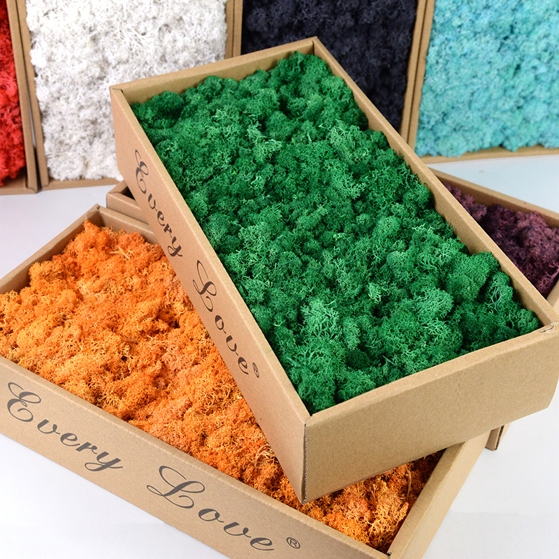 40/20g Artificial Immortal Mos - Sphagnum Moss Dry reseña y precio