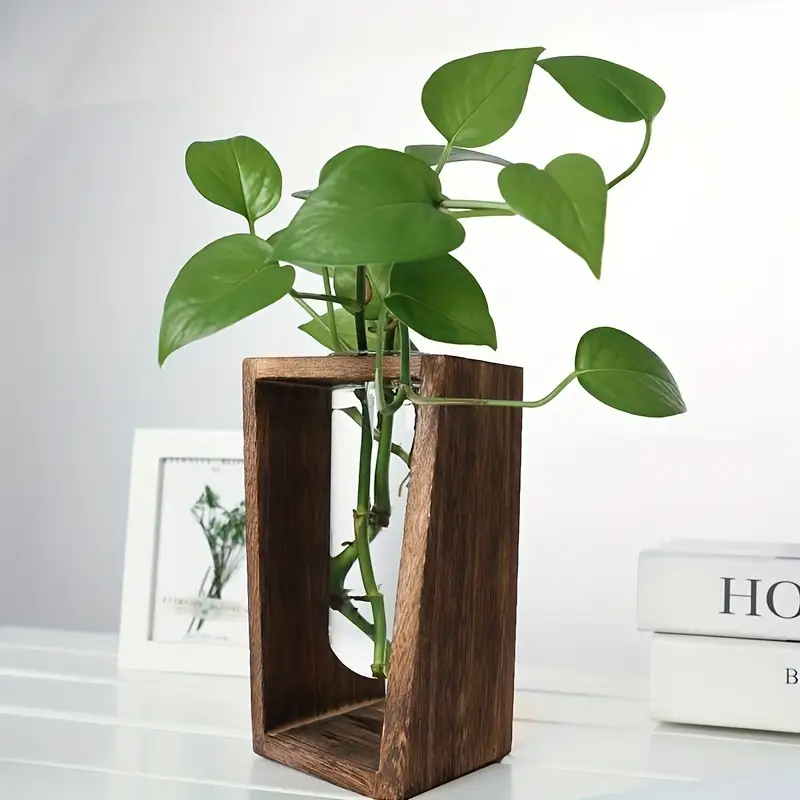 Modern Wood Propagation Vase - - Propagation Station Vase reseña y precio