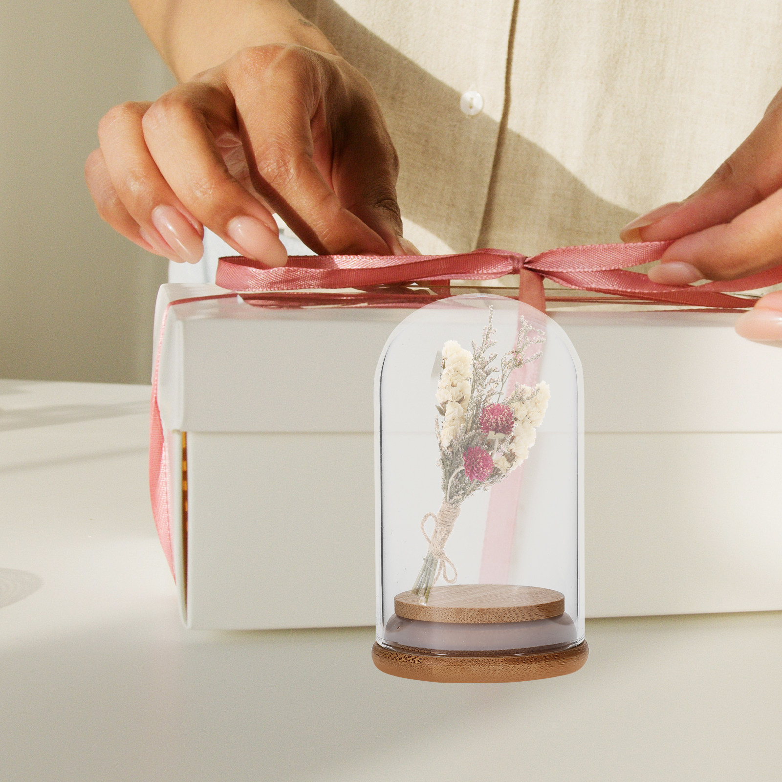 5Pcs Preserved Flower Glass Do - Plastic Dome Clear reseña y precio