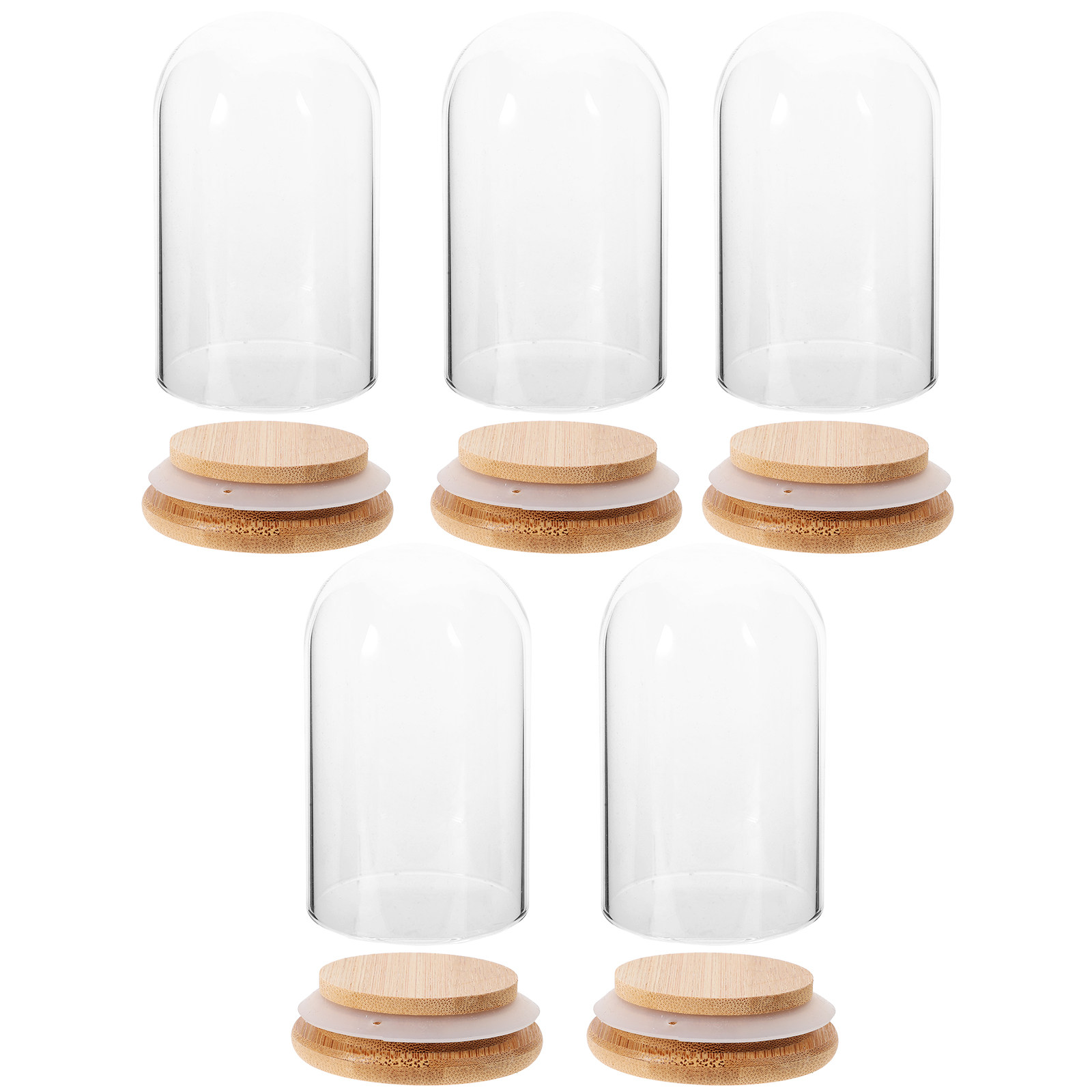 5Pcs Preserved Flower Glass Do - Plastic Dome Clear reseña y precio