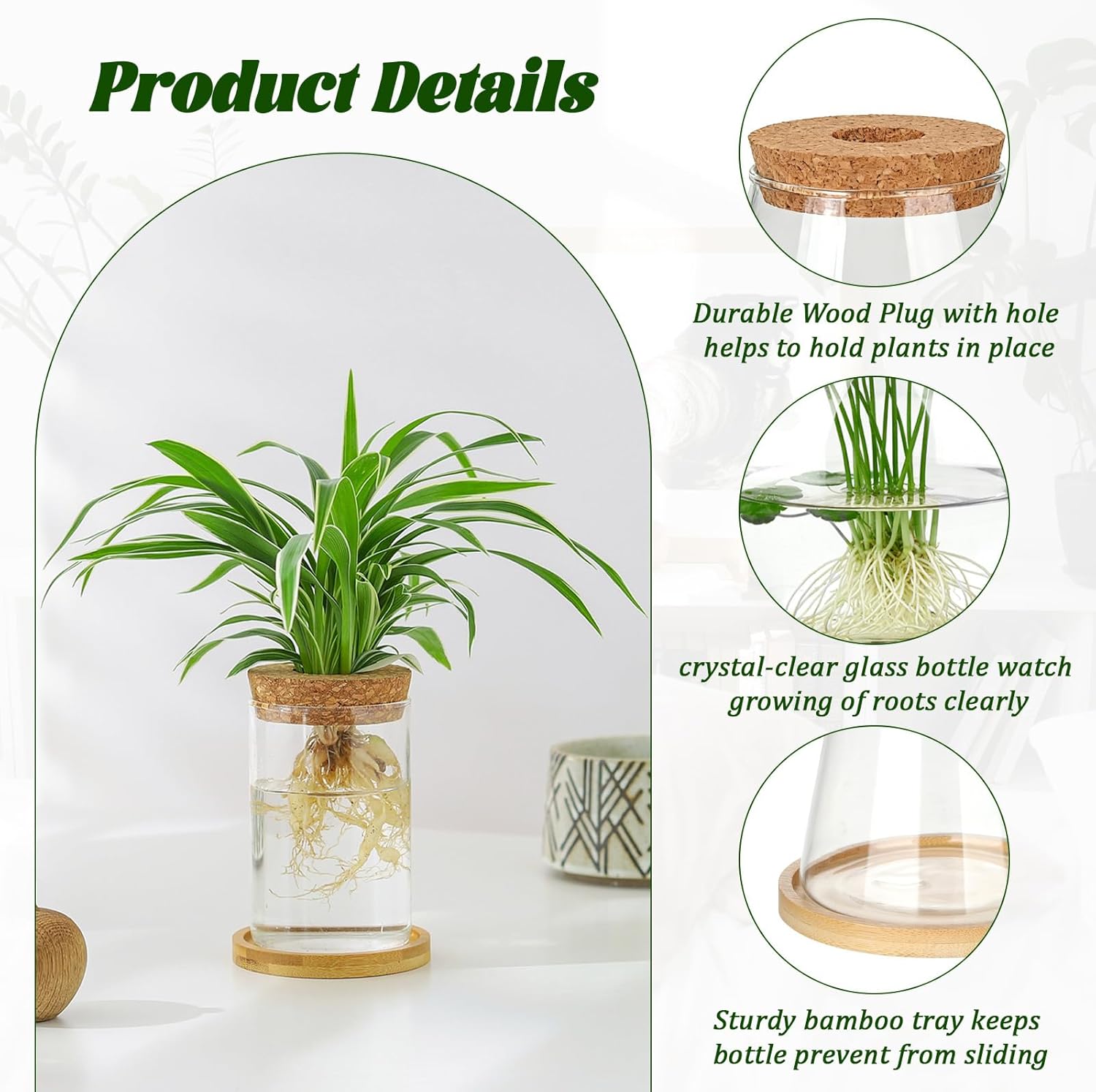 6 Pcs Plants Propagation Stati - Propagation Station Vase reseña y precio
