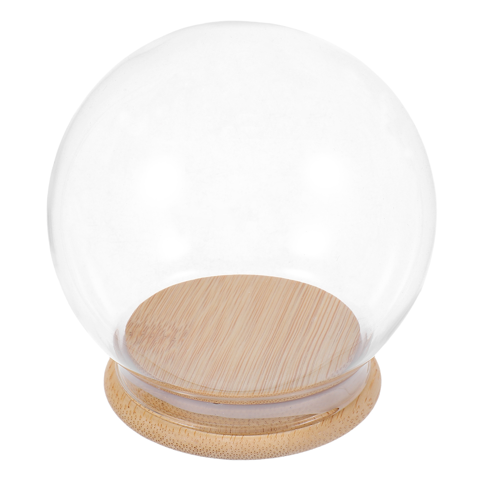 Glass Dome Eternal Flower Disp - Plastic Dome Clear reseña y precio