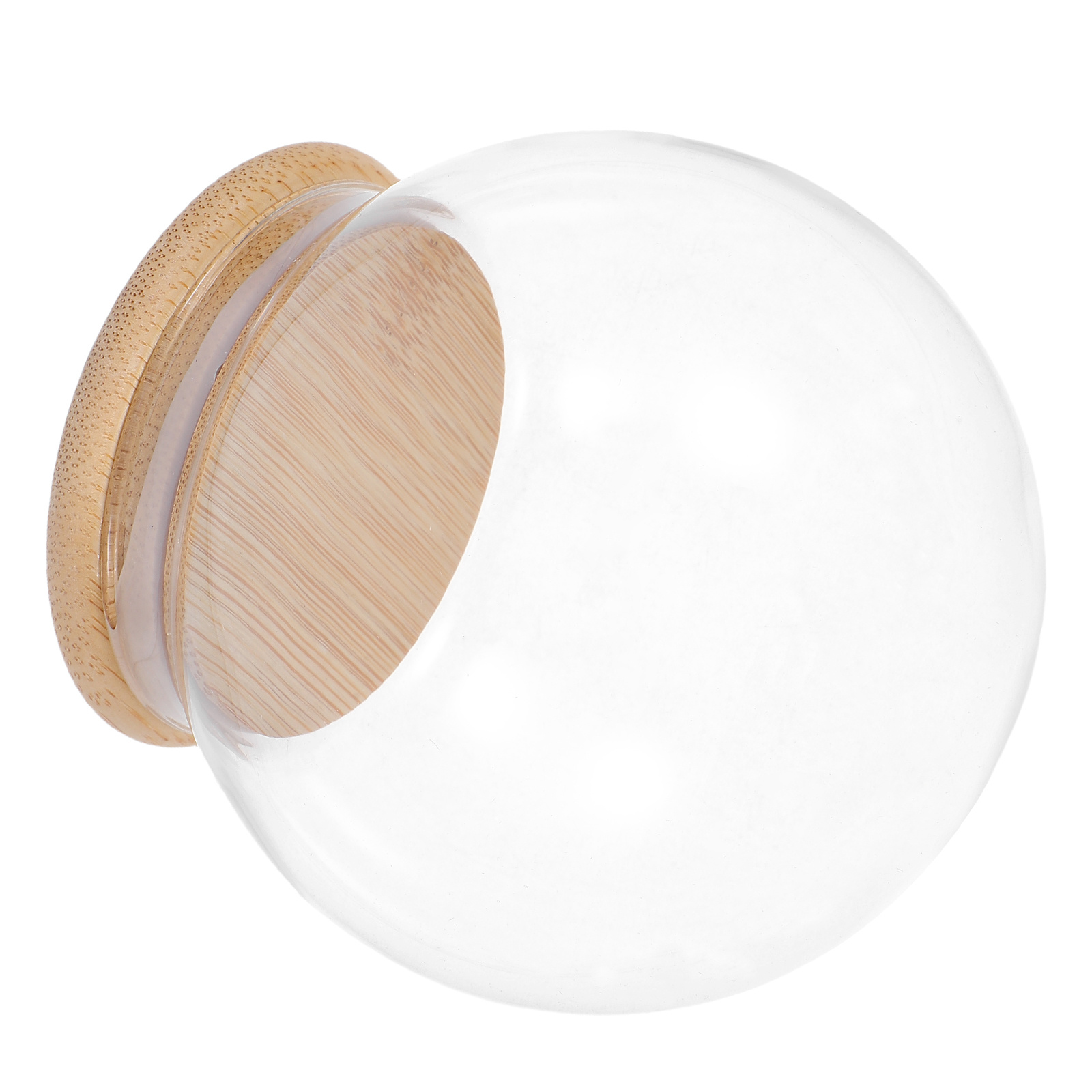 Glass Dome Eternal Flower Disp - Plastic Dome Clear reseña y precio