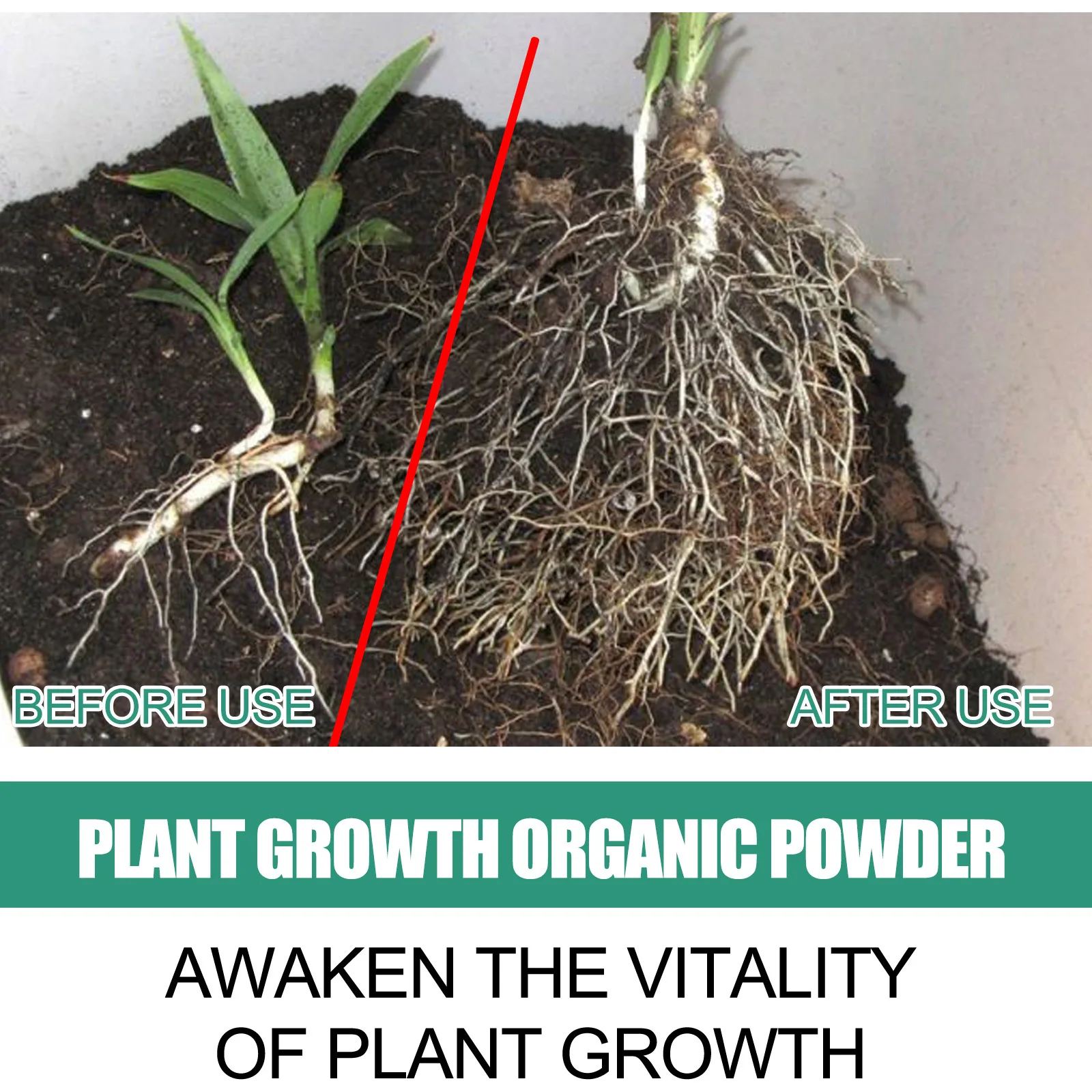 Fast Rooting Powder Plant Soil - Rooting Hormone Powder reseña y precio