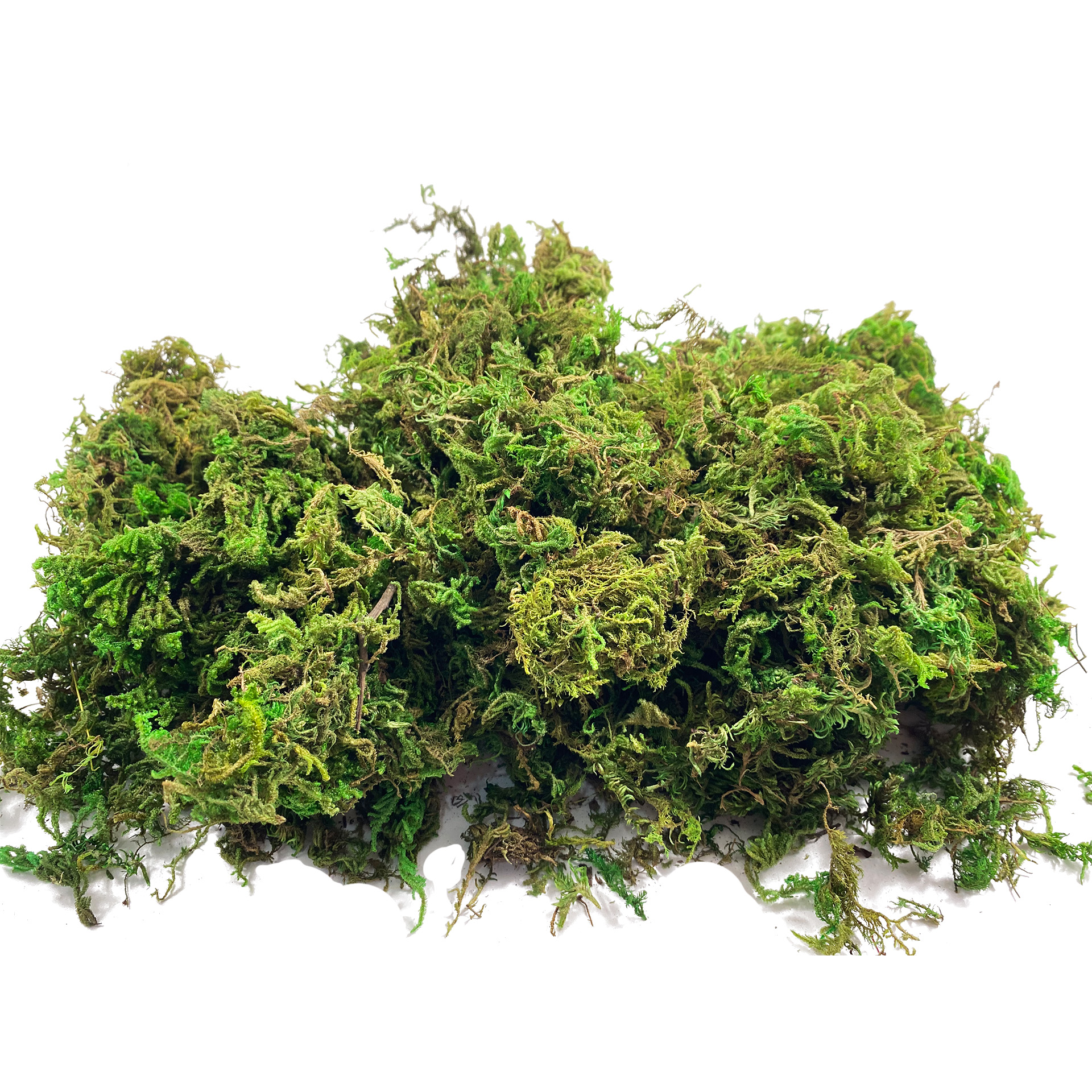 Artificial Fake Moss, Craft Mo - Sphagnum Moss Dry reseña y precio