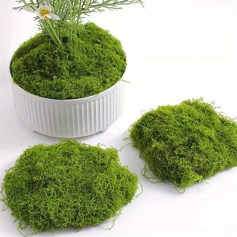 1 \ 5 \ 8 pcs artificial simul - Sphagnum Moss Dry reseña y precio