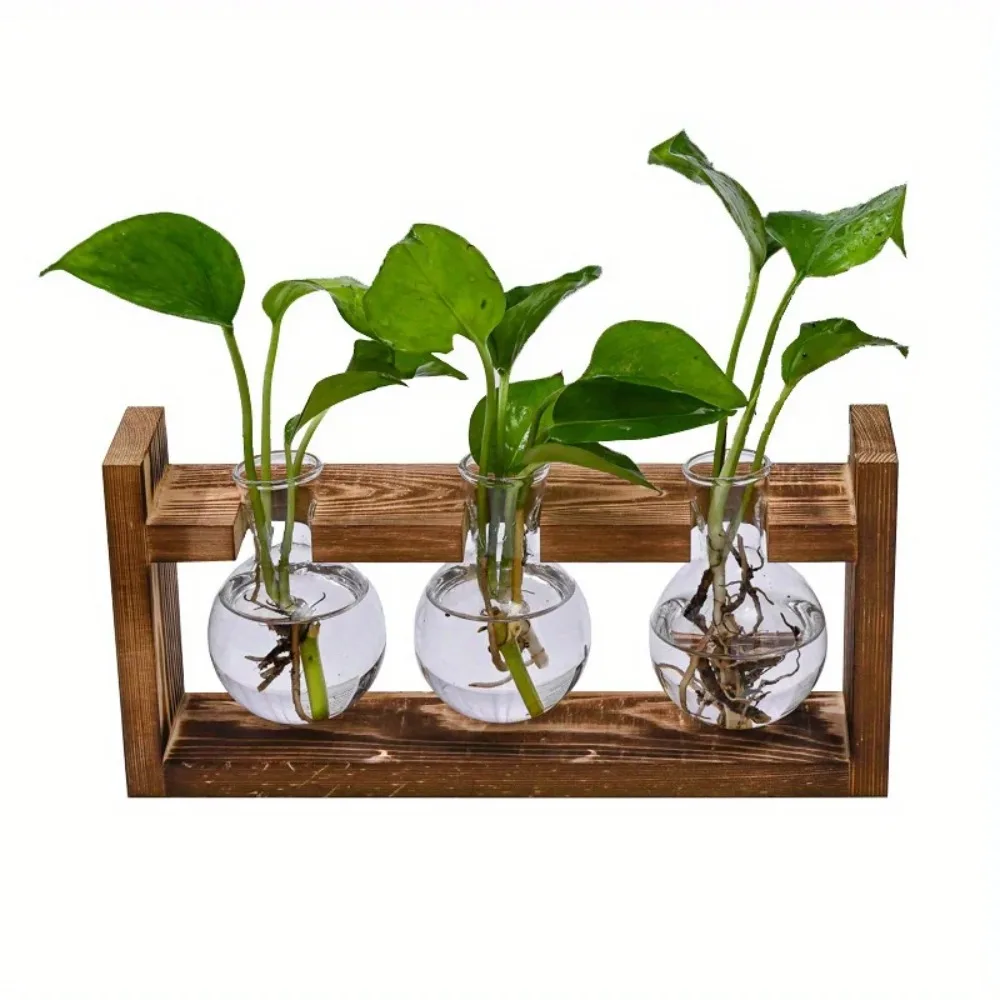 Tabletop Glass Planter Propaga - Propagation Station Vase reseña y precio