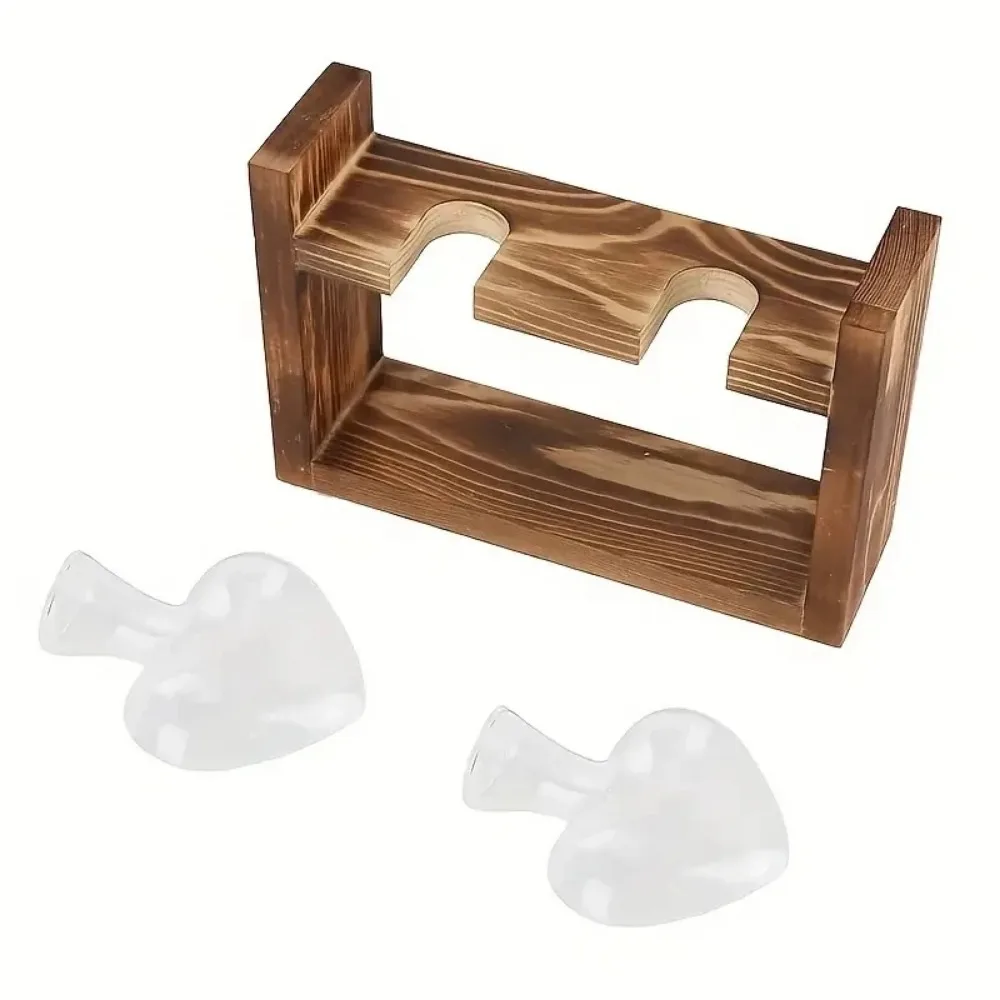 Tabletop Glass Planter Propaga - Propagation Station Vase reseña y precio