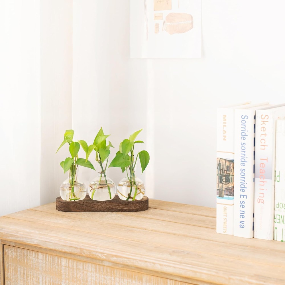 Desktop Plant Propagation Stat - Propagation Station Vase reseña y precio