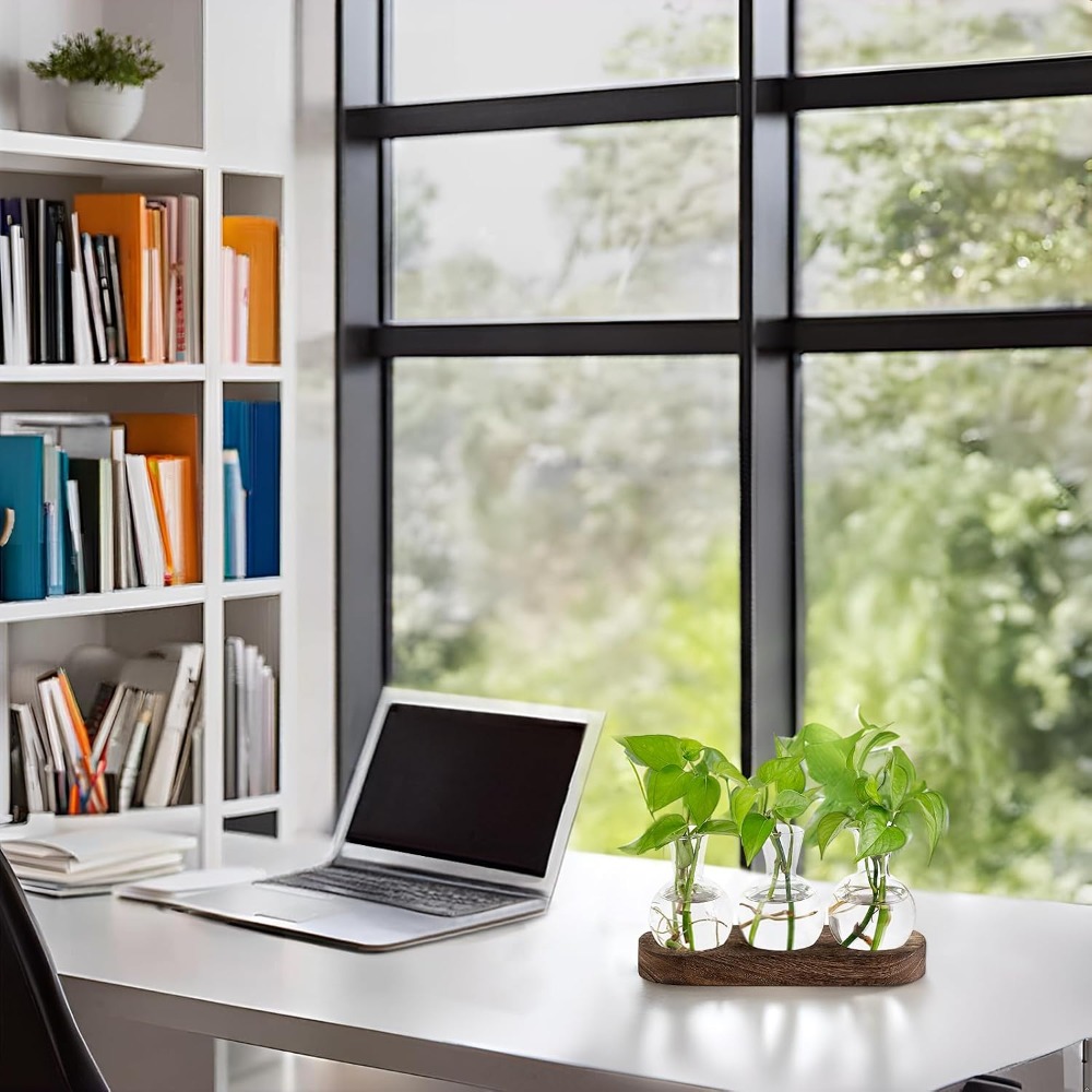 Desktop Plant Propagation Stat - Propagation Station Vase reseña y precio