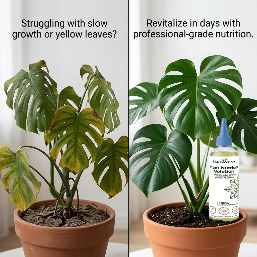 Plant  Nutrient Solution Rapid - Root Stimulator Liquid reseña y precio