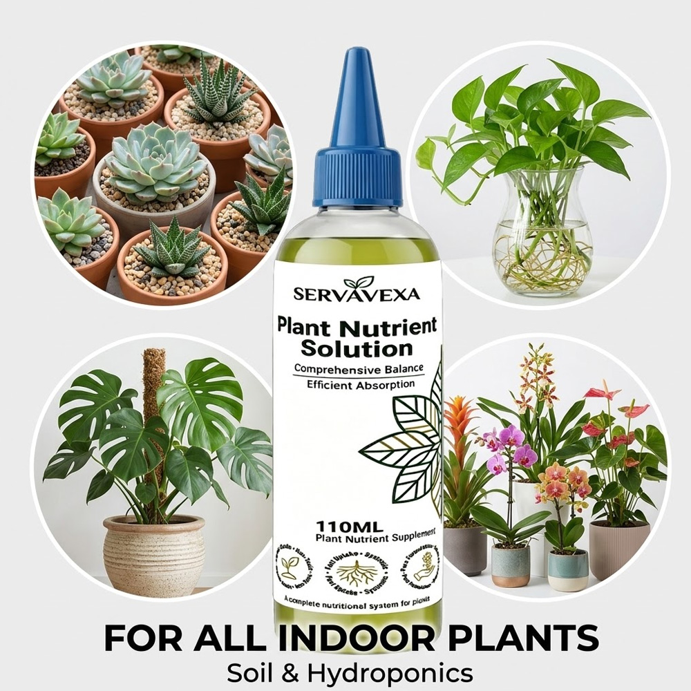 Plant  Nutrient Solution Rapid - Root Stimulator Liquid reseña y precio
