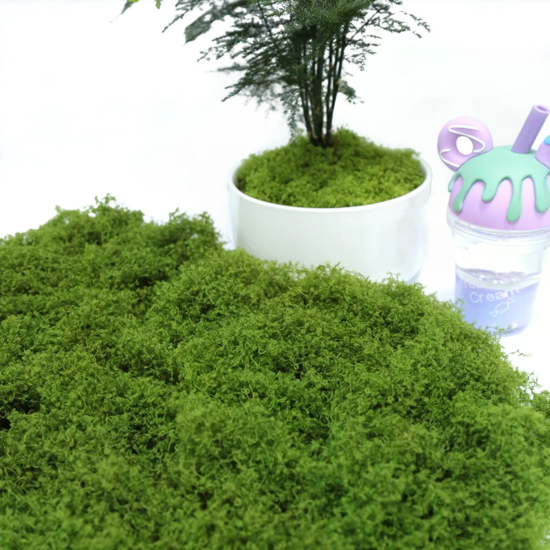 50g Fake Moss DIY Crafts Grass - Sphagnum Moss Dry reseña y precio