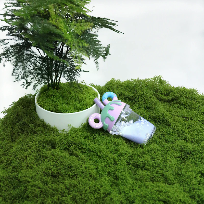 50g Fake Moss DIY Crafts Grass - Sphagnum Moss Dry reseña y precio