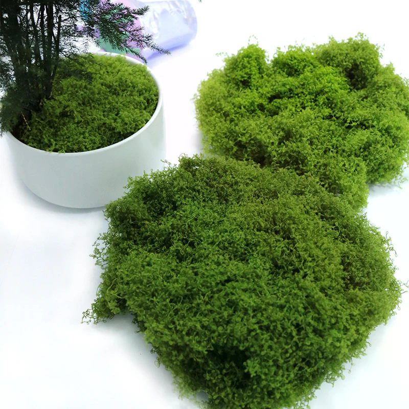 50g Fake Moss DIY Crafts Grass - Sphagnum Moss Dry reseña y precio