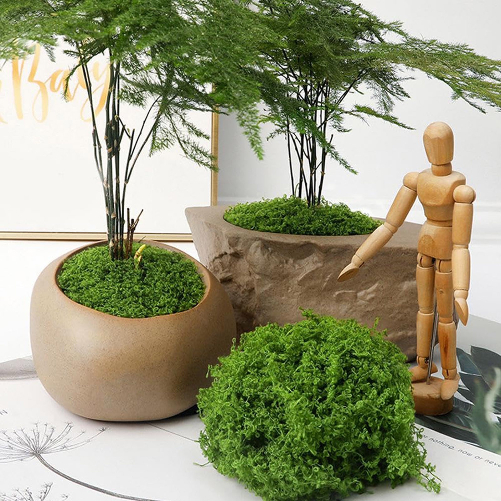 50/200g Artificial Moss For De - Sphagnum Moss Dry reseña y precio