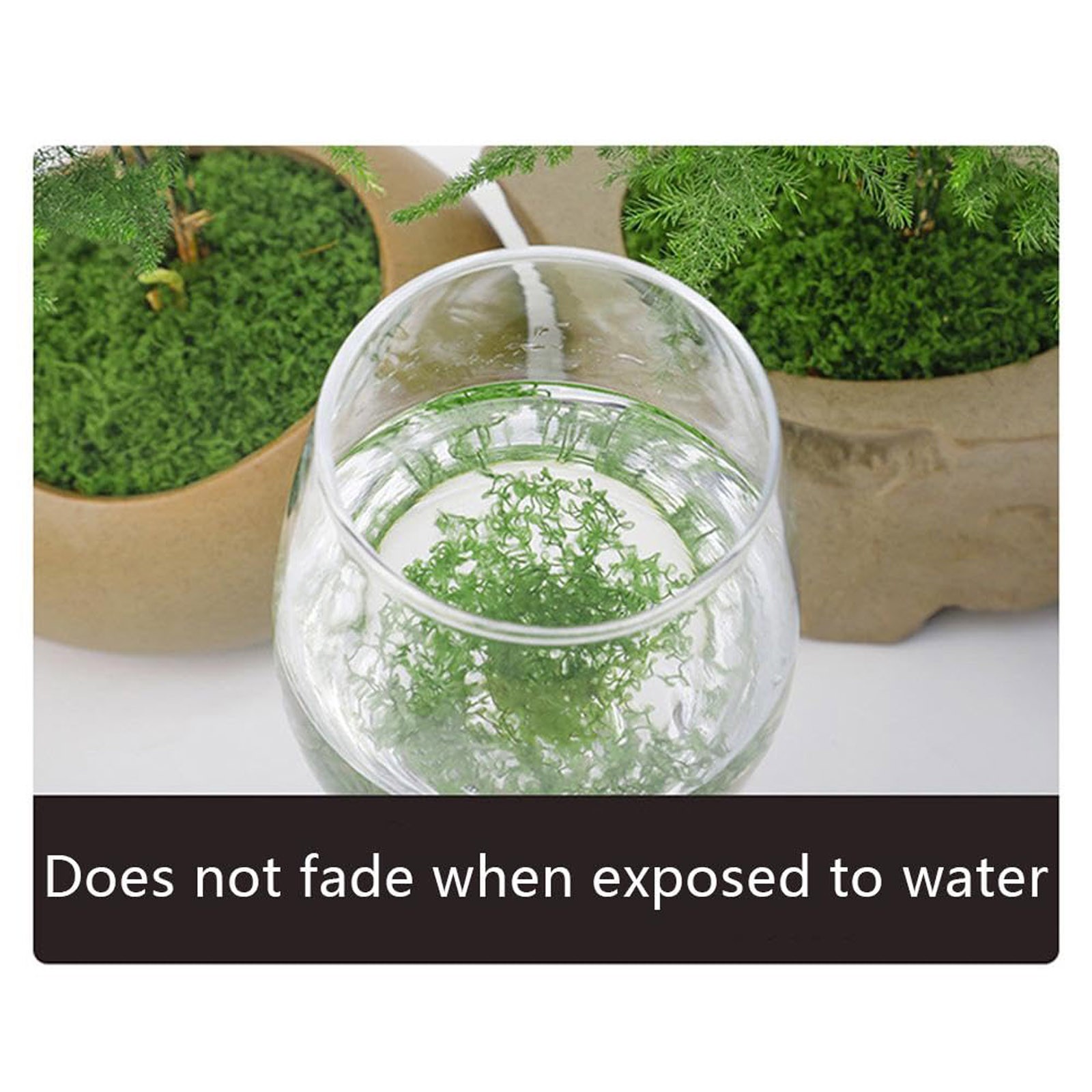 50/200g Artificial Moss For De - Sphagnum Moss Dry reseña y precio