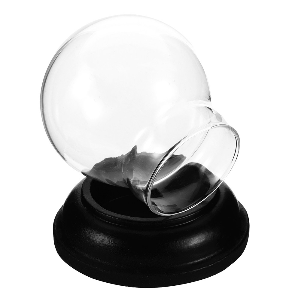 Empty Fillable Glass Snow Glob - Plastic Dome Clear reseña y precio