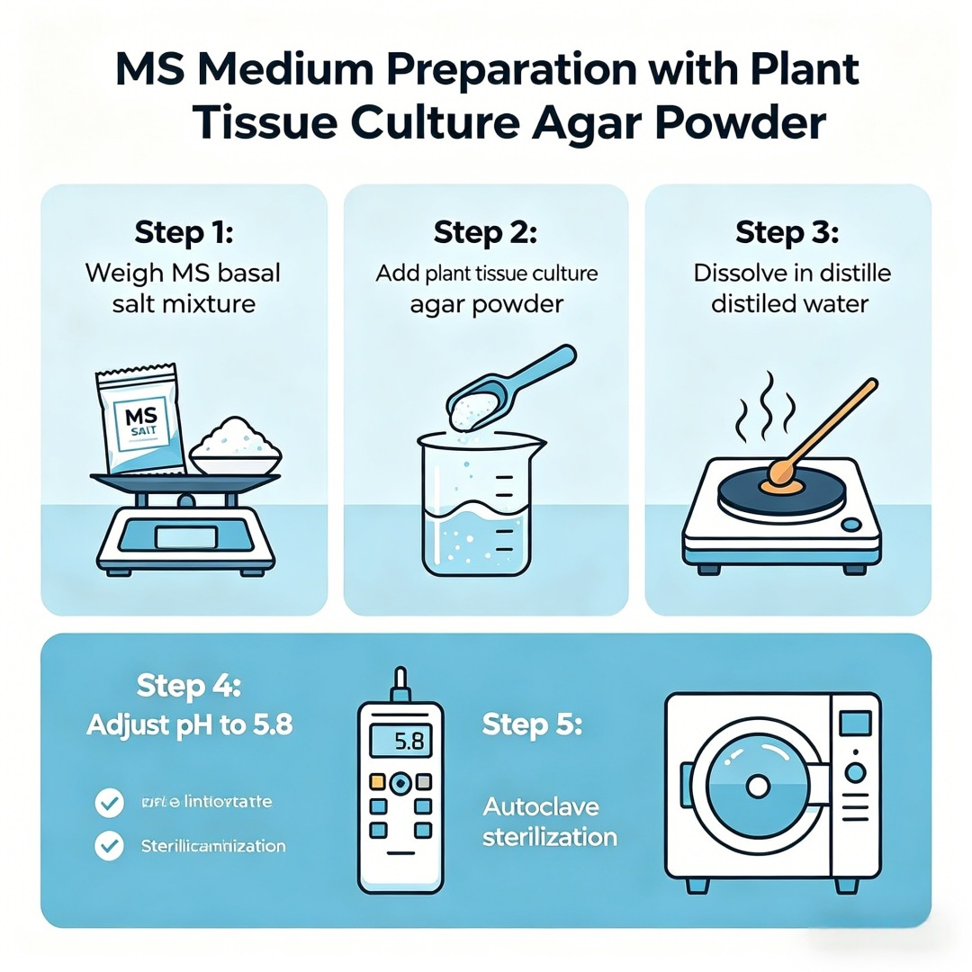 High Gel Strength Plant Tissue - Agar Tissue Culture reseña y precio