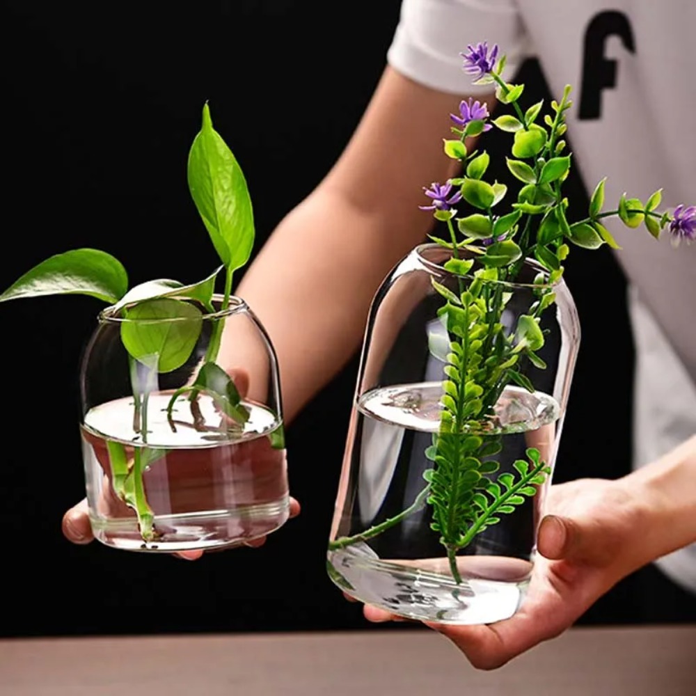 Creative Hydroponic Plant Glas - Propagation Station Vase reseña y precio