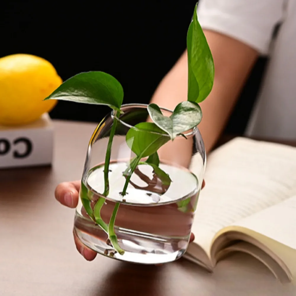 Creative Hydroponic Plant Glas - Propagation Station Vase reseña y precio