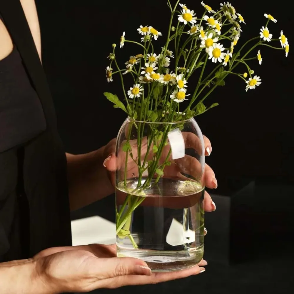 Creative Hydroponic Plant Glas - Propagation Station Vase reseña y precio