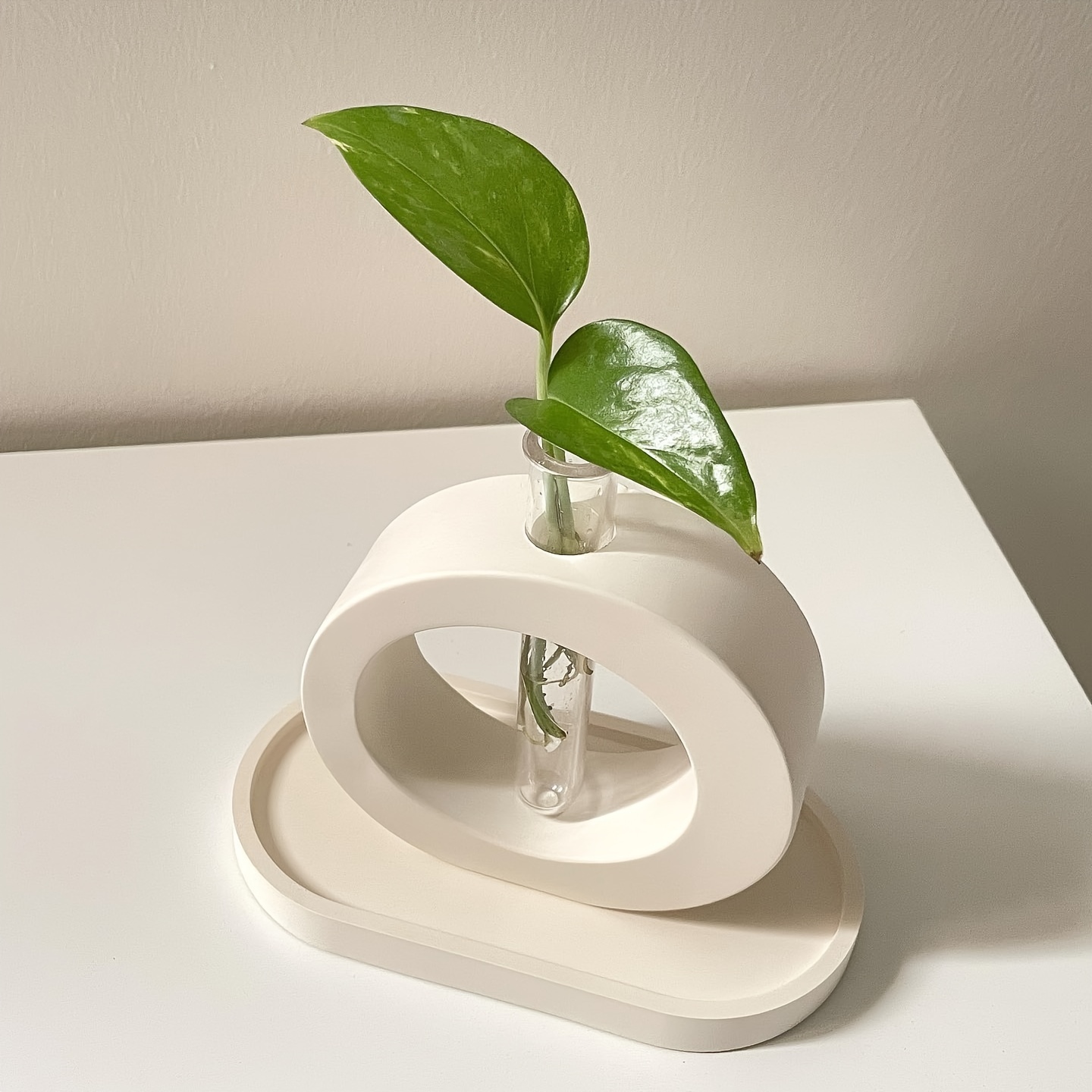 4PCS Flower Vase Silicone Mold - Propagation Station Vase reseña y precio