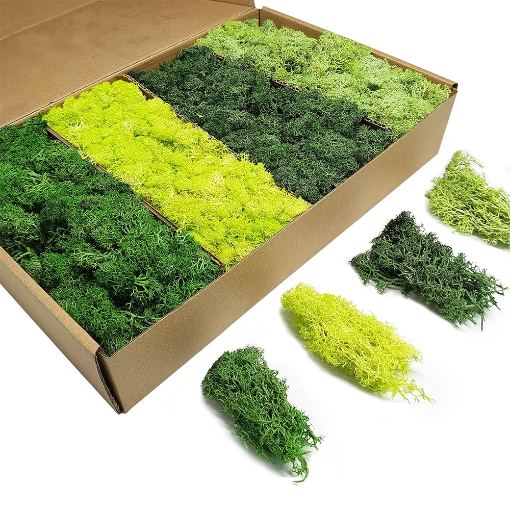 Artificial Green Plants Eterna - Sphagnum Moss Dry reseña y precio