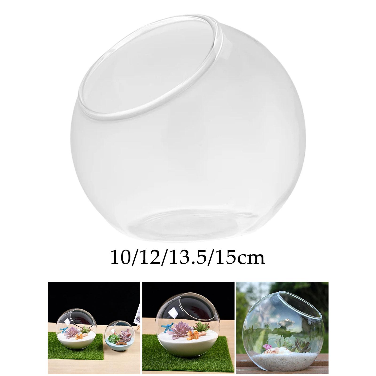 Terrarium Glass Vase Unique Ce - Propagation Station Vase reseña y precio