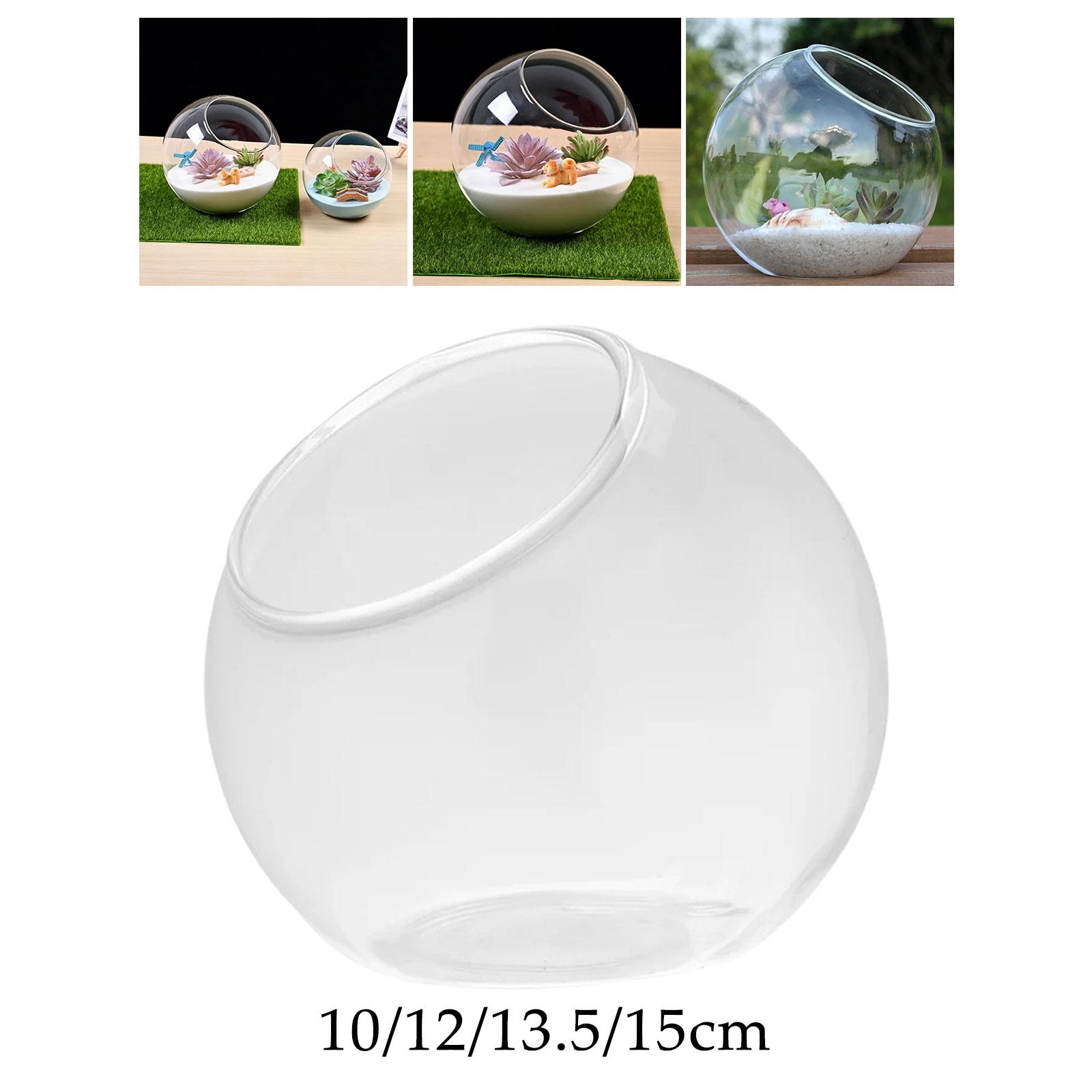 Terrarium Glass Vase Unique Ce - Propagation Station Vase reseña y precio