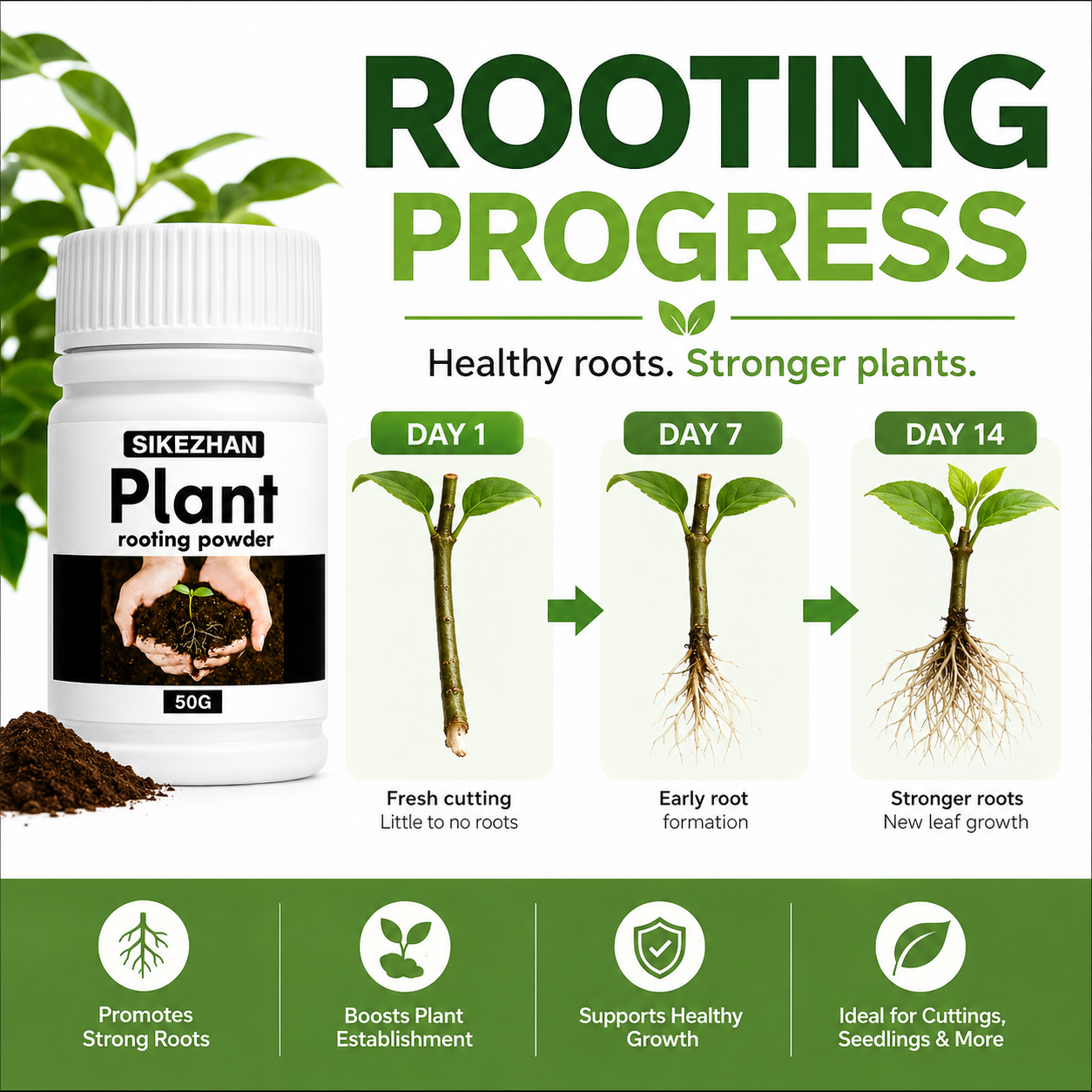 50g Rapid Rooting Powder Plant - Rooting Hormone Powder reseña y precio